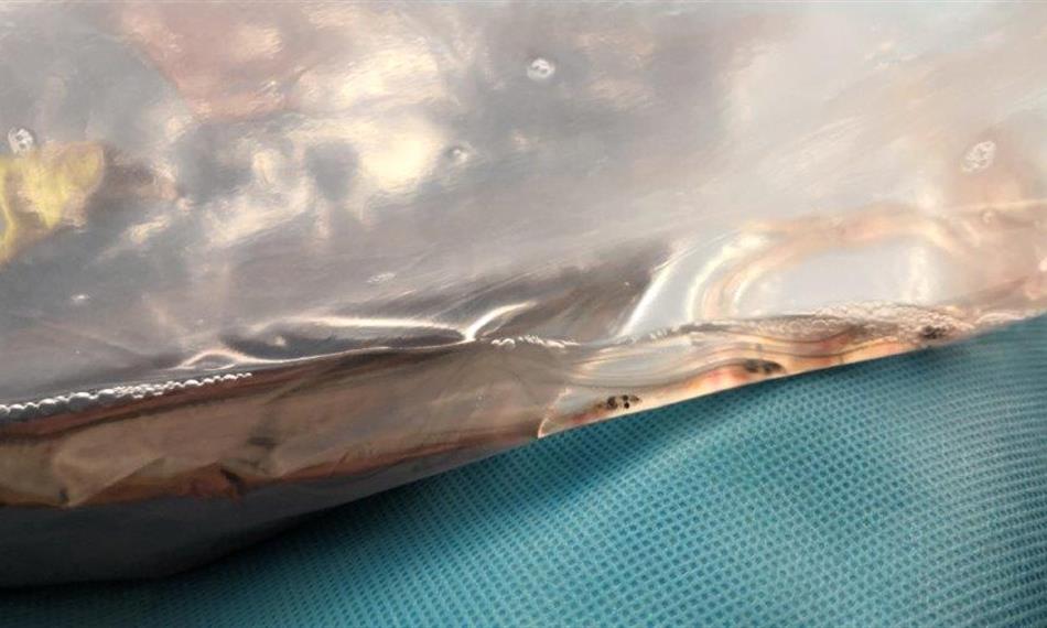 2019-5-30-831foto 5.jpg